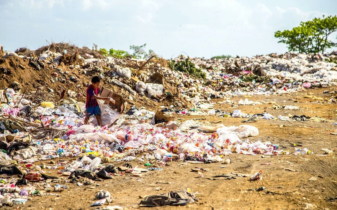 Protections hygiéniques : Pollution, coût environnemental et solutions